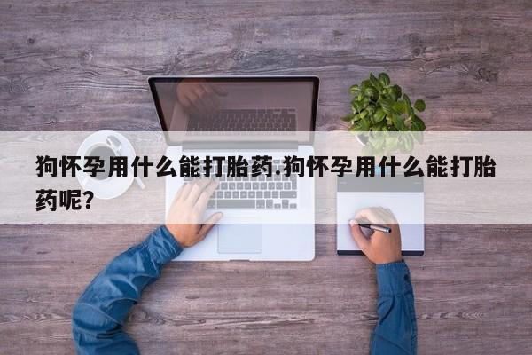 售米非司酮片 包邮狗怀孕用什么能打胎药.狗怀孕用什么能打胎药呢？
