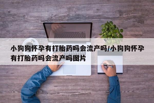 售米非司酮片 包邮小狗狗怀孕有打胎药吗会流产吗/小狗狗怀孕有打胎药吗会流产吗图片